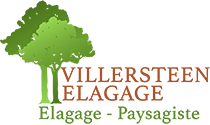 elagage-Villersteen-Moise-premium-elagage-93
