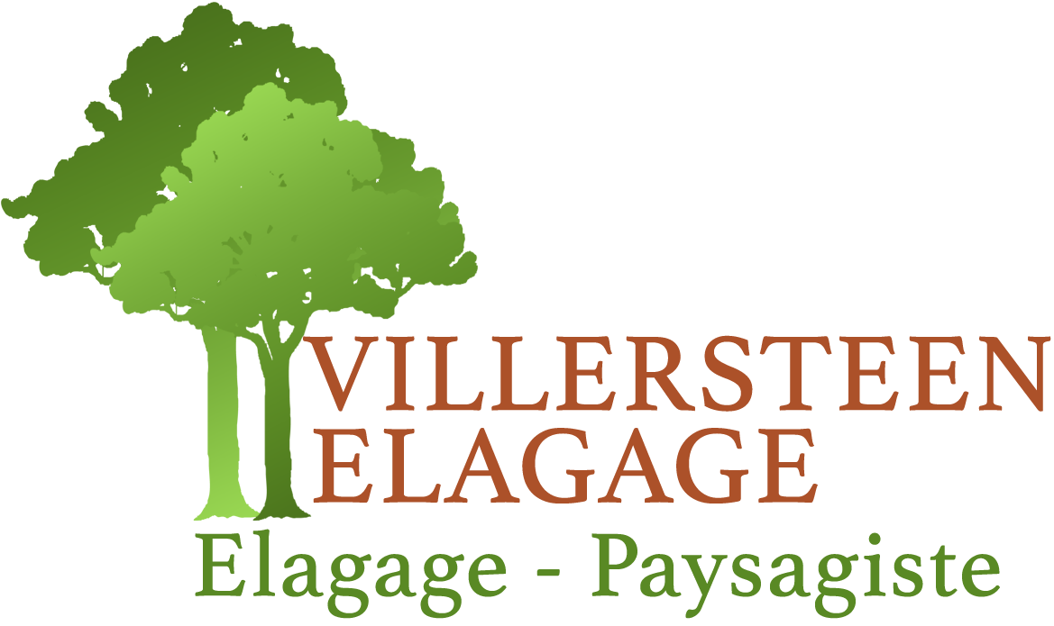 Villersteen Moise premium élagage 93